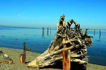 Beach - Free image #289481
